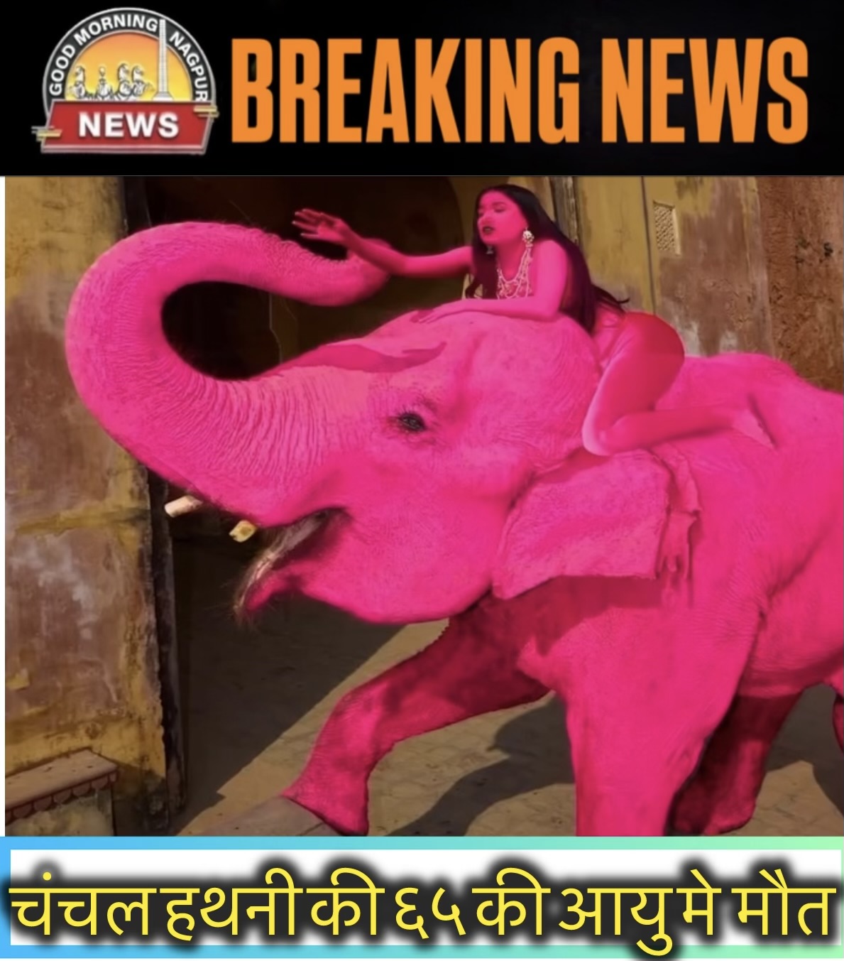 हथनी का मरना और फोटो शूट का वायरल होना ।